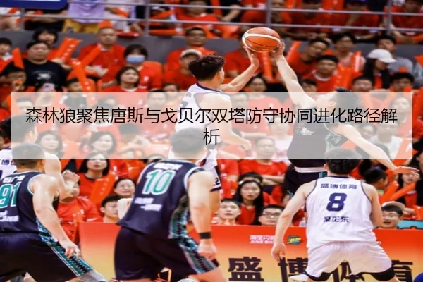 森林狼聚焦唐斯与戈贝尔双塔防守协同进化路径解析